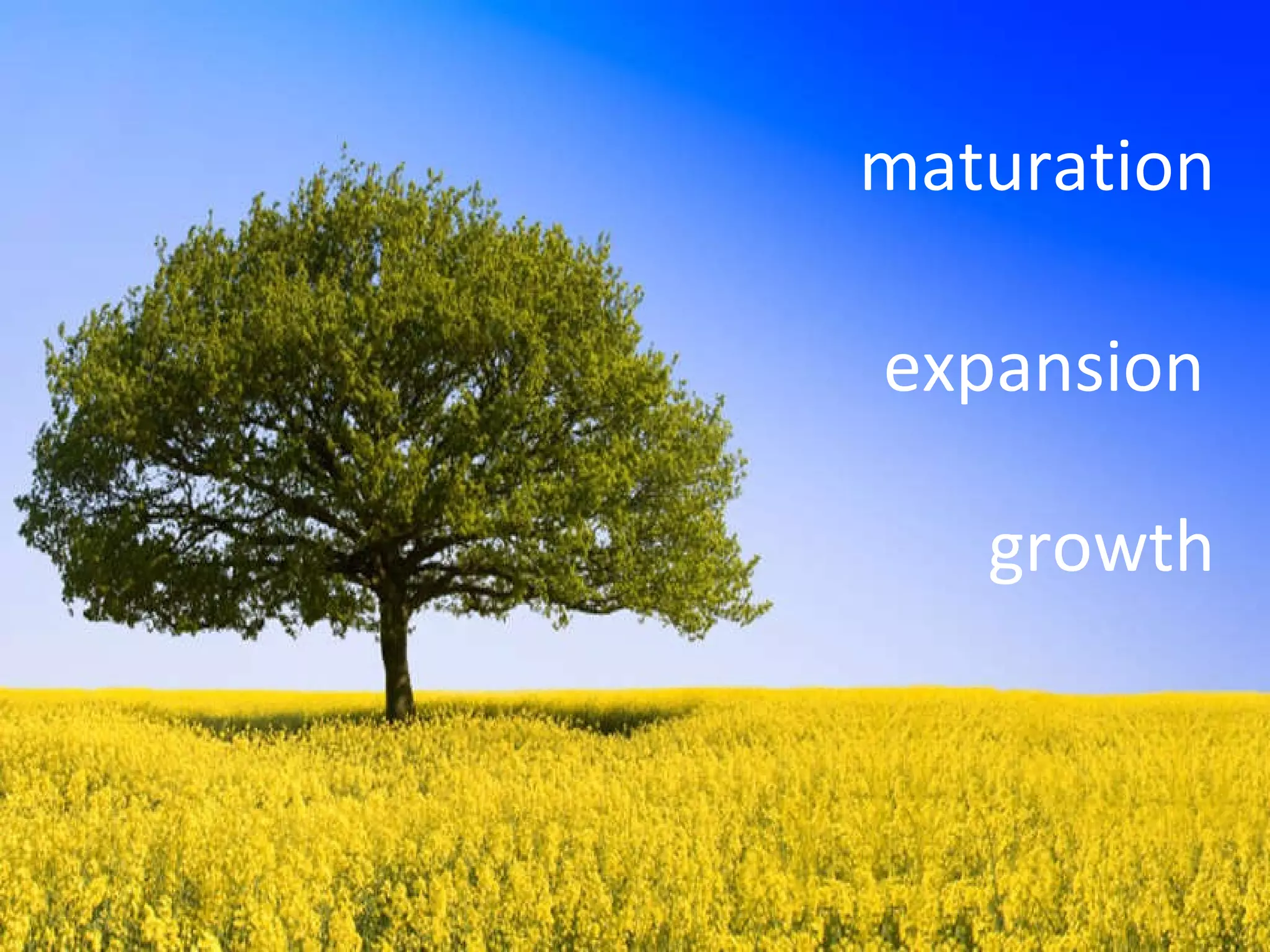 growth maturation expansion 