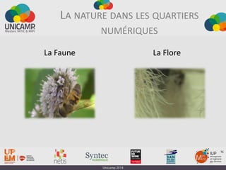 16
TC
LA NATURE DANS LES QUARTIERS
NUMÉRIQUES
La Faune La Flore
 