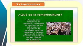 3.- Lumbricultura
 