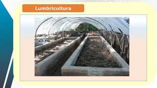 Lumbricultura
 