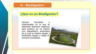 4.- Biodigestor:
 