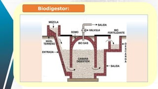 Biodigestor:
 