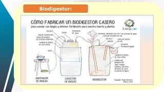 Biodigestor:
 