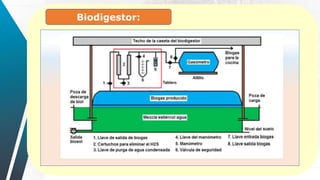 Biodigestor:
 