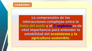 CARBONO:
La comprensión de las
interacciones complejas entre la
biota del suelo y el C orgánico es de
vital importancia para entender la
estabilidad del ecosistema y la
agricultura sostenible.
 