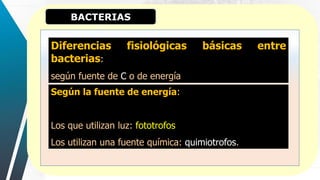 BACTERIAS
:
Diferencias fisiológicas básicas entre
bacterias:
según fuente de C o de energía
Según la fuente de energía:
Los que utilizan luz: fototrofos
Los utilizan una fuente química: quimiotrofos.
 