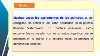 Suelo:
Muchas veces los excrementos de los animales, al ser
recogidos, se echan a una zona delimitada en la parcela
llamada “estercolero”. En muchas ocasiones, estos
excrementos se mezclan con otros restos orgánicos que se
producen en la granja, y al juntarse todos, se produce el
denominado estiércol.
 