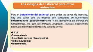 Para el tratamiento del estiércol para evitar las larvas de insectos,
hay que saber que las moscas son causantes de numerosas
enfermedades gastrointestinales y en ganadería su control es
fundamental, ya que las moscas propagan muchas infecciones
entre las diferentes cabezas de ganado como:
•E.Coli.
•Salmonelosis.
•Disentería porcina (Brachyspira).
•Ileítis (Lawsonia).
•Tuberculosis.
Los riesgos del estiércol para otros
animales:
 