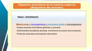 Digestión anaeróbica de la materia orgánica
(Bioquímica del proceso):
Etapa I : Solubilización
Materia cruda + microorganismos = compuestos soluble + microorganismos
-Grasas bacterias enzimáticas glicéridos y azúcares
-Carbohidratos facultativas aerobias, monómeros de azúcar otros productos
-Proteínas anaerobias aminoácidos intermedios
 