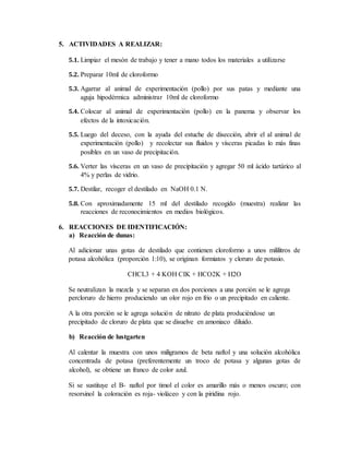 5. ACTIVIDADES A REALIZAR:
5.1. Limpiar el mesón de trabajo y tener a mano todos los materiales a utilizarse
5.2. Preparar 10ml de cloroformo
5.3. Agarrar al animal de experimentación (pollo) por sus patas y mediante una
aguja hipodérmica administrar 10ml de cloroformo
5.4. Colocar al animal de experimentación (pollo) en la panema y observar los
efectos de la intoxicación.
5.5. Luego del deceso, con la ayuda del estuche de disección, abrir el al animal de
experimentación (pollo) y recolectar sus fluidos y vísceras picadas lo más finas
posibles en un vaso de precipitación.
5.6. Verter las vísceras en un vaso de precipitación y agregar 50 ml ácido tartárico al
4% y perlas de vidrio.
5.7. Destilar, recoger el destilado en NaOH 0.1 N.
5.8. Con aproximadamente 15 ml del destilado recogido (muestra) realizar las
reacciones de reconocimientos en medios biológicos.
6. REACCIONES DE IDENTIFICACIÓN:
a) Reacción de dunas:
Al adicionar unas gotas de destilado que contienen cloroformo a unos mililitros de
potasa alcohólica (proporción 1:10), se originan formiatos y cloruro de potasio.
CHCL3 + 4 KOH CIK + HCO2K + H2O
Se neutralizan la mezcla y se separan en dos porciones a una porción se le agrega
percloruro de hierro produciendo un olor rojo en frio o un precipitado en caliente.
A la otra porción se le agrega solución de nitrato de plata produciéndose un
precipitado de cloruro de plata que se disuelve en amoniaco diluido.
b) Reacción de lustgarten
Al calentar la muestra con unos miligramos de beta naftol y una solución alcohólica
concentrada de potasa (preferentemente un troco de potasa y algunas gotas de
alcohol), se obtiene un franco de color azul.
Si se sustituye el B- naftol por timol el color es amarillo más o menos oscuro; con
resorsinol la coloración es roja- violáceo y con la piridina rojo.
 