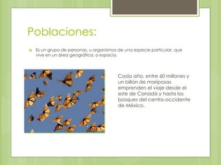 Poblaciones:
 Es un grupo de personas, u organismos de una especie particular, que
vive en un área geográfica, o espacio.
Cada año, entre 60 millones y
un billón de mariposas
emprenden el viaje desde el
este de Canadá y hasta los
bosques del centro-occidente
de México.
 