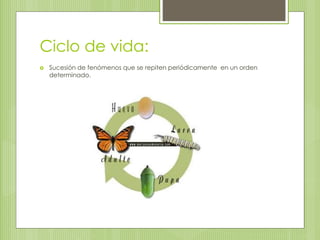 Ciclo de vida:
 Sucesión de fenómenos que se repiten periódicamente en un orden
determinado.
 