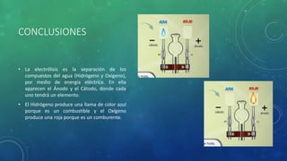 CONCLUSIONES
• La electrólisis es la separación de los
compuestos del agua (Hidrógeno y Oxígeno),
por medio de energía eléctrica. En ella
aparecen el Ánodo y el Cátodo, donde cada
uno tendrá un elemento.
• El Hidrógeno produce una llama de color azul
porque es un combustible y el Oxígeno
produce una roja porque es un comburente.
 