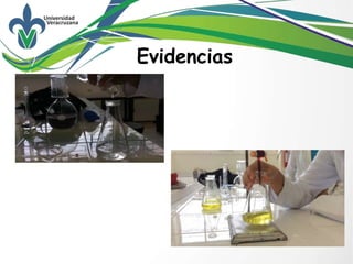 Evidencias
 