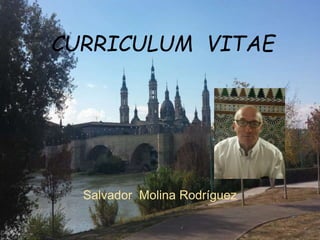 CURRICULUM VITAE
Salvador Molina Rodríguez
 