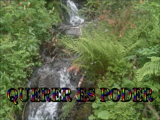 Práctica 1(curriculum)