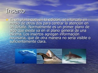 Inserto  Es un plano que, en la edición, se intercala en medio de otros dos para centrar la atención en un detalle. Normalmente es un primer plano de algo que existe ya en el plano general de una escena. Los insertos agregan información necesaria, que de otra manera no sería visible o suficientemente clara.  