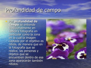 Profundidad de campo  Por  profundidad de campo  se entiende tradicionalmente en óptica y fotografía en particular como la zona en la cual la imagen captada por el objetivo es nítida, de manera que en la fotografía que se realice, las personas y objetos que se encuentren dentro de esa zona aparecerán también nítidos.  
