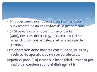 6.- observando por los oculares, subir el tubo
nuevamente hasta ver enfocada la preparación.
7.- Si se va a usar el objetivo seco fuerte
(40x), después del paso 5, se cambia aquel sin
necesidad de subir el tubo, si el microscopio lo
permite.
Esta operación debe hacerse con cuidado, pues hay
modelos de aparato que no son parafocales.
Repetir el paso 6, ajustando la intensidad luminosa por
medio del condensador y el diafragma iris.
 
