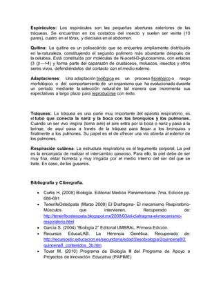 Espiráculos: Los espiráculos son las pequeñas aberturas exteriores de las
tráqueas. Se encuentran en los costados del insecto y suelen ser veinte (10
pares), cuatro en el tórax, y dieciséis en el abdomen.
Quitina: La quitina es un polisacárido que se encuentra ampliamente distribuido
en la naturaleza, constituyendo el segundo polímero más abundante después de
la celulosa. Está constituida por moléculas de N-acetil-D-glucosamina, con enlaces
(3 (—>4) y forma parte del caparazón de crustáceos, moluscos, insectos y otros
seres vivos, defendiéndolos del contacto con el medio externo.
Adaptaciones: Una adaptación biológica es un proceso fisiológico o rasgo
morfológico o del comportamiento de un organismo que ha evolucionado durante
un período mediante la selección natural de tal manera que incrementa sus
expectativas a largo plazo para reproducirse con éxito.
Tráqueas: La tráquea es una parte muy importante del aparato respiratorio, es
el tubo que conecta la nariz y la boca con los bronquios y los pulmones.
Cuando un ser vivo inspira (toma aire) el aire entra por la boca o nariz y pasa a la
laringe, de aquí pasa a través de la tráquea para llegar a los bronquios y
finalmente a los pulmones. Su papel es el de ofrecer una vía abierta al exterior de
los pulmones.
Respiración cutánea: La estructura respiratoria es el tegumento corporal. La piel
es la encargada de realizar el intercambio gaseoso. Para ello, la piel debe de ser
muy fina, estar húmeda y muy irrigada por el medio interno del ser del que se
trate. En caso, de los gusanos.
Bibliografía y Cibergrafía.
 Curtis H. (2008) Biología. Editorial Medica Panamericana. 7ma. Edición pp.
686-691
 TenerifeOsteópata (Marzo 2008) El Diafragma- El mecanismo Respiratorio-
Músculos que intervienen. Recuperado de:
http://tenerifeosteopata.blogspot.mx/2008/03/el-diafragma-el-mecanismo-
respiratorio.html
 García S. (2004) “Biología 2” Editorial UMBRAL Primera Edición.
 Recursos EducaLAB. La Herencia Genética. Recuperado de:
http://recursostic.educacion.es/secundaria/edad/2esobiologia/2quincena8/2
quincena8_contenidos_3b.htm
 Tovar M. (2010) Programa de Biología III del Programa de Apoyo a
Proyectos de Innovación Educativa (PAPIME)
 