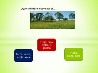 ¿Qué animal se mueve por el….
Cerdo, cabra,
oveja, vaca
Oveja, pato,
elefante,
gorrión
Trucha,
araña, búho
 
