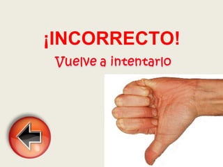 ¡INCORRECTO! 