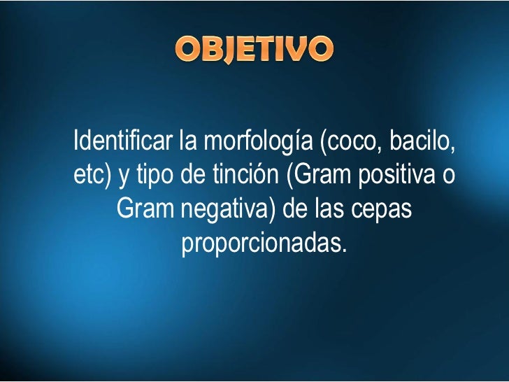 Práctica 3 Tinción De Gram Práctica 3 Tinción De Gram