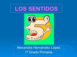 LOS SENTIDOS Alexandra Hernández López 1º Grado Primaria 