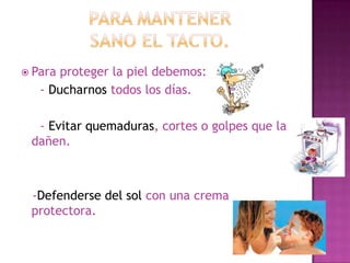 ¿con qué sentido puedes captar olores?