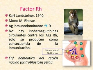Factor Rh
Karl Landsteiner, 1940.
Mono M. Rhesus
Ag inmunodominante  D
No hay isohemaglutininas
circulantes contra los Ags Rh,
solo se producen como
consecuencia de la
inmunización.
Enf hemolítica del recién
nacido (Eritroblastosis fetal).
Vacuna Anti-D
24-72 horas
 