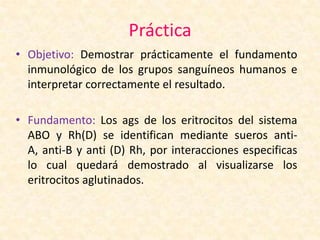 Práctica
• Objetivo: Demostrar prácticamente el fundamento
inmunológico de los grupos sanguíneos humanos e
interpretar correctamente el resultado.
• Fundamento: Los ags de los eritrocitos del sistema
ABO y Rh(D) se identifican mediante sueros anti-
A, anti-B y anti (D) Rh, por interacciones especificas
lo cual quedará demostrado al visualizarse los
eritrocitos aglutinados.
 