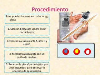 Procedimiento
Este puede hacerse en tubo o en
placa.
1. Colocar 3 gotas de sangre en un
portaobjetos
2. Colocar los sueros anti-A, anti-B y
anti-D.
3. Mezclamos cada gota con un
palillo de madera.
5. Rotamos la placa/portaobjetos por
unos segundos para observar la
aparicion de aglutinación.
 