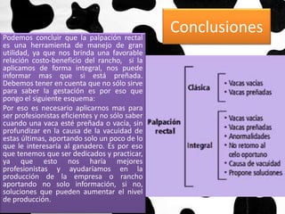 Conclusiones 
Podemos concluir que la palpación rectal 
es una herramienta de manejo de gran 
utilidad, ya que nos brinda una favorable 
relación costo-beneficio del rancho, si la 
aplicamos de forma integral, nos puede 
informar mas que si está preñada. 
Debemos tener en cuenta que no sólo sirve 
para saber la gestación es por eso que 
pongo el siguiente esquema: 
Por eso es necesario aplicarnos mas para 
ser profesionistas eficientes y no sólo saber 
cuando una vaca esté preñada o vacía, sin 
profundizar en la causa de la vacuidad de 
estas últimas, aportando solo un poco de lo 
que le interesaría al ganadero. Es por eso 
que tenemos que ser dedicados y practicar, 
ya que esto nos haría mejores 
profesionistas y ayudaríamos en la 
producción de la empresa o rancho 
aportando no solo información, si no, 
soluciones que pueden aumentar el nivel 
de producción. 
 