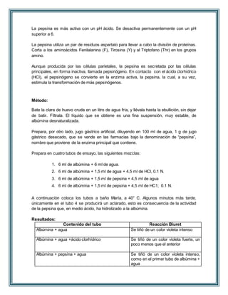 La pepsina es más activa con un pH ácido. Se desactiva permanentemente con un pH 
superior a 6. 
La pepsina utiliza un par de residuos aspartato para llevar a cabo la división de proteínas. 
Corta a los aminoácidos Fenilalanina (F), Tirosina (Y) y al Triptofano (Thr) en los grupos 
amino. 
Aunque producida por las células parietales, la pepsina es secretada por las células 
principales, en forma inactiva, llamada pepsinógeno. En contacto con el ácido clorhídrico 
(HCl), el pepsinógeno se convierte en la enzima activa, la pepsina, la cual, a su vez, 
estimula la transformación de más pepsinógenos. 
Método: 
Bate la clara de huevo cruda en un litro de agua fría, y llévala hasta la ebullición, sin dejar 
de batir. Fíltrala. El líquido que se obtiene es una fina suspensión, muy estable, de 
albúmina desnaturalizada. 
Prepara, por otro lado, jugo gástrico artificial, diluyendo en 100 ml de agua, 1 g de jugo 
gástrico desecado, que se vende en las farmacias bajo la denominación de “pepsina”, 
nombre que proviene de la enzima principal que contiene. 
Prepara en cuatro tubos de ensayo, las siguientes mezclas: 
1. 6 ml de albúmina + 6 ml de agua. 
2. 6 ml de albúmina + 1,5 ml de agua + 4,5 ml de HCl, 0.1 N. 
3. 6 ml de albúmina + 1,5 ml de pepsina + 4,5 ml de agua 
4. 6 ml de albúmina + 1,5 ml de pepsina + 4,5 ml de HC1, 0.1 N. 
A continuación coloca los tubos a baño María, a 40° C. Algunos minutos más tarde, 
únicamente en el tubo 4 se producirá un aclarado, esto es consecuencia de la actividad 
de la pepsina que, en medio ácido, ha hidrolizado a la albúmina. 
Resultados: 
Contenido del tubo Reacción Biuret 
Albúmina + agua Se tiñó de un color violeta intenso 
Albúmina + agua +ácido clorhídrico Se tiñó de un color violeta fuerte, un 
poco menos que el anterior 
Albúmina + pepsina + agua Se tiñó de un color violeta intenso, 
como en el primer tubo de albúmina + 
agua 
 