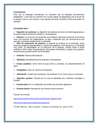 Conclusiones: 
Para que se obtengan aminoácidos, es necesario que se obtengan primeramente 
polipéptidos, y para esto se requieren de muchas etapas de degradación por la acción de 
la pepsina, que es una enzima, y que requiere del ácido clorhídrico (HCl) para poder ser 
activada. 
Conceptos clave: 
 Digestión de proteínas: La digestión de proteínas se inicia en el estómago gracias a 
la acción conjunta del ácido clorhídrico y de la pepsina. 
 Pepsina: Los enzimas son proteínas que catalizan reacciones químicas en los seres 
vivos. Los enzimas son catalizadores, es decir, sustancias que, sin consumirse en una 
reacción, aumentan notablemente su velocidad. 
 Sitio de producción de pepsina: La pepsina se produce en el estómago, actúa 
sobre las proteínas degradándolas, y proporciona péptidos y aminoácidos en un ambiente 
muy ácido. El pepsinógeno es un precursor de la pepsina, cuando actúa el ácido 
clorhidrico (HCL) sobre el pepsinógeno, éste pierde aminoácidos y queda como pepsina, 
de forma que ya puede actuar como proteasa. 
 Proteína: Polímero-Biomolécula. 
 Hidrólisis: Desdoblamiento de proteínas a aminoácidos. 
 Enlace peptídico: Unión entre el grupo amino y carboxilo, con desprendimiento de 
agua. 
 Polipéptido: Unión de Muchos aminoácidos. 
 Aminoácido: Unidad que constituye a las proteínas. Es lo mismo que un monómero. 
 Digestión química: Proceso por el cual se desdoblan las moléculas complejas a 
simples. 
 Enzima activa: Es un catalizador que acelera los procesos digestivos. 
 Enzima inactiva: Necesita de una coenzima para activarse. 
Fuentes de consulta: 
http://www.profesorenlinea.cl/Ciencias/Proteinas_Digestion.html 
http://www.infoescola.com/bioquimica/pepsina/ 
TOVAR Martínez, María Eugenia. Programa de Biología III, agosto 2010. 
