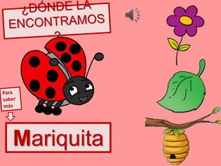 Mariquita
 
