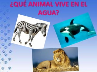 ¿QUÉ ANIMAL VIVE EN EL
AGUA?
 
