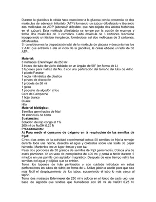 Durante la glucólisis la célula hace reaccionar a la glucosa con la presencia de dos
moléculas de adenosín trifosfato (ATP) formando un azúcar difosfatado y liberando
dos moléculas de ADP (adenosín difosfato, que han dejado dos ácidos fosfóricos
en el azúcar). Esta molécula difosfatada se rompe por la acción de enzimas y
forma dos moléculas de 3 carbonos. Cada molécula de 3 carbonos reacciona
incorporando un fósforo inorgánico, formándose así dos moléculas de 3 carbonos,
difosfatadas.
Si consideramos la degradación total de la molécula de glucosa y descontamos los
2 ATP que entraron a ella al inicio de la glucólisis, la célula obtiene un total de 38
ATP.
Material:
3 matraces Erlenmeyer de 250 ml
3 trozos de tubo de vidrio doblado en un ángulo de 90° (en forma de L)
3 tapones para matraz del No. 6 con una perforación del tamaño del tubo de vidrio
1 pipeta Pasteur
1 regla milimétrica de plástico
1 pinzas de disección
1 probeta de 50 ml
1 gasa
1 paquete de algodón chico
Cera de Campeche
1 hoja blanca
Diurex
Hilo
Material biológico:
Semillas germinadas de frijol
10 lombrices de tierra
Sustancias:
Solución de rojo congo al 1%
200 ml de NaOH 0.25 N
Procedimiento:
A) Para medir el consumo de oxígeno en la respiración de las semillas de
fríjol:
Cinco días antes de la actividad experimental coloca 50 semillas de fríjol a remojar
durante toda una noche, desecha el agua y colócalas sobre una toalla de papel
húmedo. Mantenlas en un lugar fresco y con luz.
Pesa dos porciones de 30 gramos de semillas de fríjol germinadas. Coloca una de
estas porciones en un vaso de precipitados de 400 ml. y ponla a hervir durante 5
minutos en una parrilla con agitador magnético. Después de este tiempo retira las
semillas del agua y déjalas que se enfríen.
Toma los tapones de hule perforados y con cuidado introduce en estas
perforaciones los tubos de vidrio en forma de L. Utiliza jabón o aceite para que sea
más fácil el desplazamiento de los tubos, sosteniendo el tubo lo más cerca al
tapón.
Toma dos matraces Erlenmeyer de 250 ml y coloca en el fondo de cada uno, una
base de algodón que tendrás que humedecer con 20 ml de NaOH 0.25 N.
 