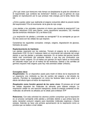 ¿Por qué crees que transcurra más tiempo en desplazarse la gota de colorante en
el respirómetro que contiene las lombrices? Debido a que el gérmen de soya
estaba en reproducción por lo que produce más energía, por lo tanto, libera más
O2
¿Cómo puedes saber que realmente el oxígeno consumido alteró la presión dentro
del respirómetro? Por el movimiento de la gota de rojo congo
¿Las plantas y los animales consumen el mismo gas durante la respiración? Las
plantas introducen CO2 para liberar, como mecanismo secundario, O2; mientras
que las lombrices introducen O2 y se libera CO2.
¿La respiración de plantas y animales es semejante? Si es semejante ya que en
los dos casos son las células las que respiran.
Caracteriza los siguientes conceptos: energía, oxígeno, degradación de glucosa,
hidróxido de sodio.
Replanteamiento de hipótesis:
Las plantas respirarán por los estomas. Tomará el oxígeno de la atmósfera y
desecharán CO2. En los 2 matraces habrá un movimiento del colorante del congo
debido a que las plantas y animales respirarán .En el matraz del germen hervido
habrá más movimiento del colorante debido a que hay una combustión que
requiere mucho oxígeno. En el matraz con germen sin hervir habrá un movimiento
de colorante mayor que en el matraz de las lombrices. Debido a las semillas (el
germen) requiere más oxígeno pues hay más actividad celular (mitosis).
Conceptos clave:
Respirómetro: Es un dispositivo usado para medir el índice de la respiración de
un organismo vivo midiendo su tipo de cambio del oxígeno y del dióxido de
carbono. Permiten la investigación en cómo los factores tales como edad o el
efecto del afecto ligero el índice de respiración.
Respiración como función general de los seres vivos: El proceso por el cual
las células degradan las moléculas de alimento para obtener energía. La
respiración celular es una reacción exergónica, donde la energía contenida en las
moléculas de alimento es utilizada por la célula para sintetizar ATP
Relaciones. Con esta actividad los alumnos podrán comprobar que la respiración
es un proceso semejante entre plantas y animales debido a que ambos tipos de
seres necesitan consumir oxígeno para desdoblar moléculas orgánicas y liberar
energía. Además se hace una primera aproximación de la respiración como un
proceso que se realiza a nivel celular.
 