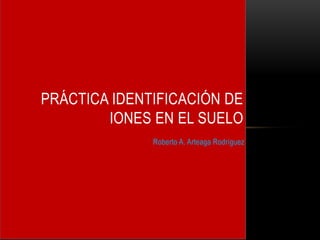 Roberto A. Arteaga Rodríguez
PRÁCTICA IDENTIFICACIÓN DE
IONES EN EL SUELO
 