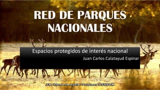 RED DE PARQUES
NACIONALES
Espacios protegidos de interés nacional
Juan Carlos Calatayud Espinar
 