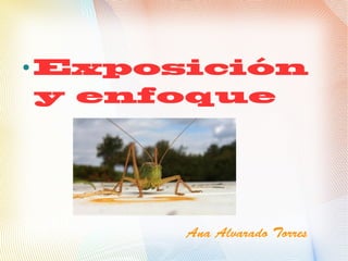 ●
    Exposición
    y enfoque




         Ana Alvarado Torres
 