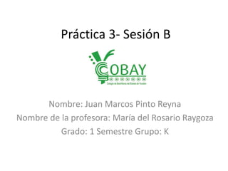 Práctica 3- Sesión B 
Nombre: Juan Marcos Pinto Reyna 
Nombre de la profesora: María del Rosario Raygoza 
Grado: 1 Semestre Grupo: K 
 