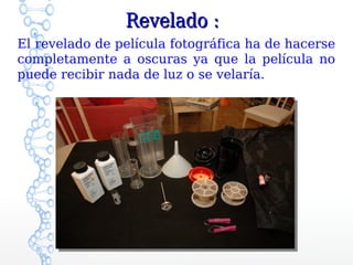 Revelado :
El revelado de película fotográfica ha de hacerse
completamente a oscuras ya que la película no
puede recibir nada de luz o se velaría.
 
