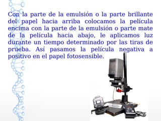 Con la parte de la emulsión o la parte brillante
del papel hacia arriba colocamos la película
encima con la parte de la emulsión o parte mate
de la película hacia abajo, le aplicamos luz
durante un tiempo determinado por las tiras de
prueba. Así pasamos la película negativa a
positivo en el papel fotosensible.
 