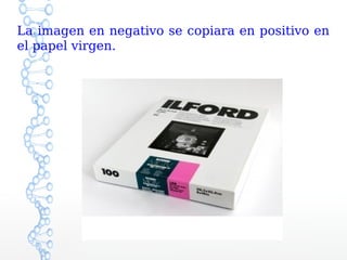 La imagen en negativo se copiara en positivo en
el papel virgen.
 