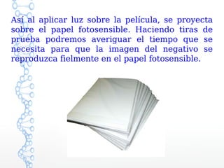 Así al aplicar luz sobre la película, se proyecta
sobre el papel fotosensible. Haciendo tiras de
prueba podremos averiguar el tiempo que se
necesita para que la imagen del negativo se
reproduzca fielmente en el papel fotosensible.
 