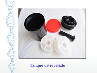 Tanque de revelado
 