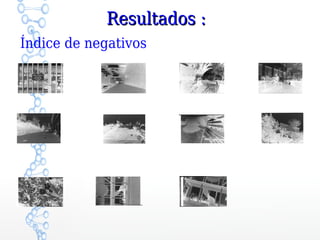 Resultados :
Índice de negativos
 