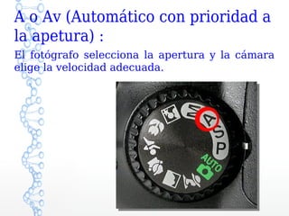 A o Av (Automático con prioridad a
la apetura) :
El fotógrafo selecciona la apertura y la cámara
elige la velocidad adecuada.
 